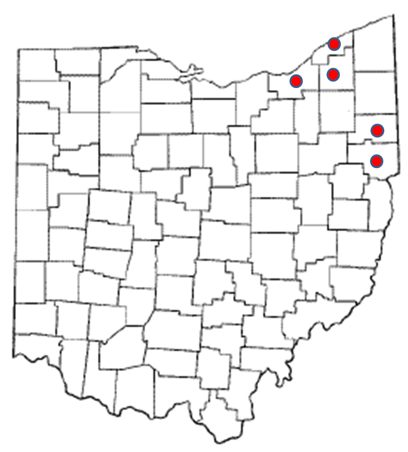 mappalchlor